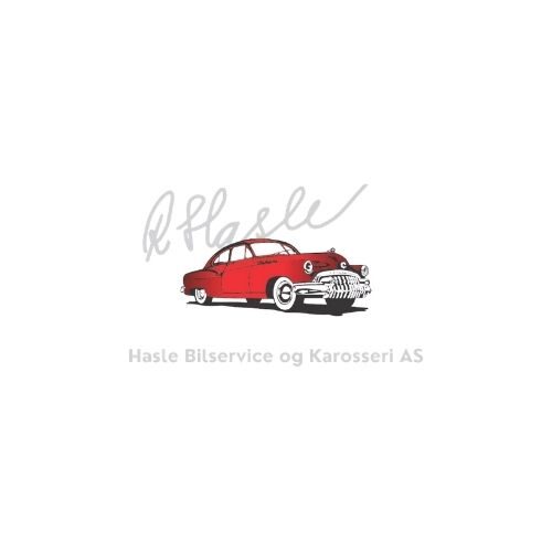 Haslebil